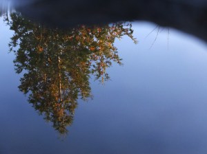Reflections1