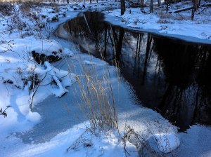20140129-DSC00353