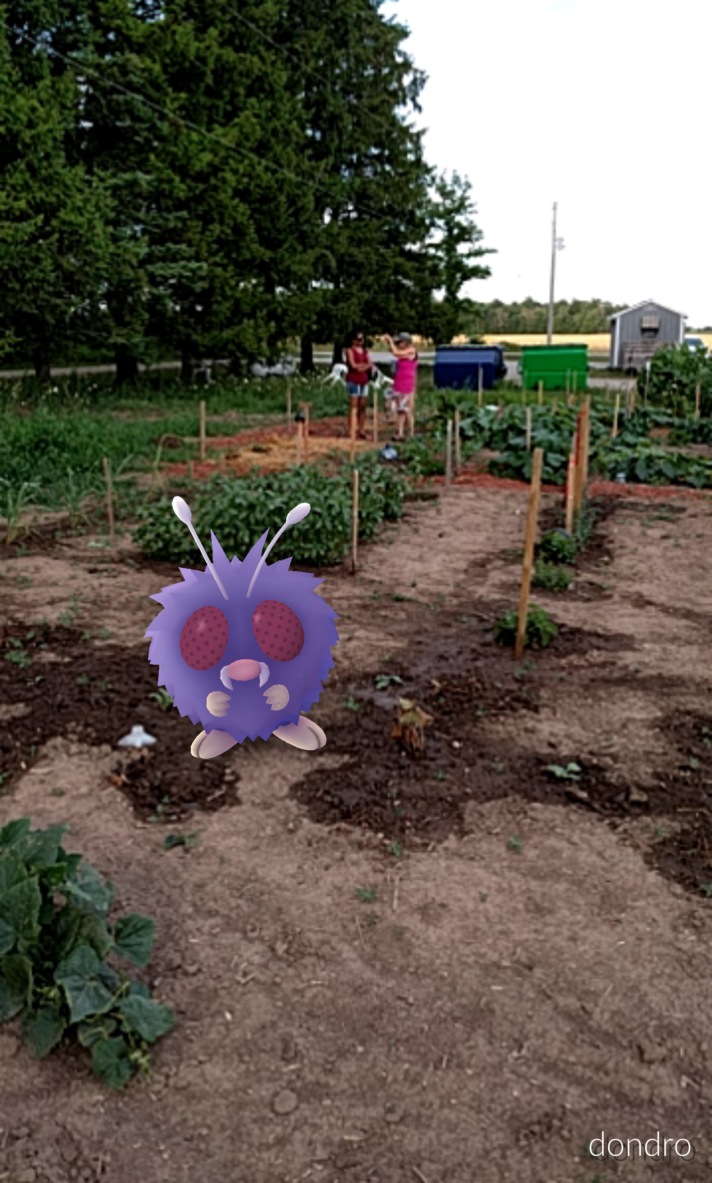 IMG_2016-07-23-20111174